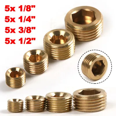 20Pcs 1/8  1/4  3/8  1/2  Male Brass Internal Hex Head Thread Socket Pipe Plugs • $13.29