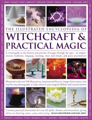 The Illustrated Encyclopedia Of Witchcraft And Practic... By Raje Airey Hardback • £13.99