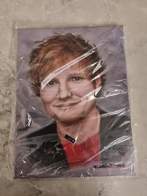 Canvas Wall Art Ed Sheeran • £20