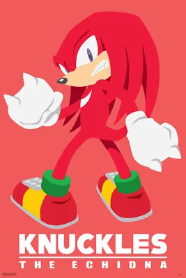 $9.98 • Buy Sonic The Hedgehog Knuckles Video Gaming Poster 12x18 Inch Poster 12x18