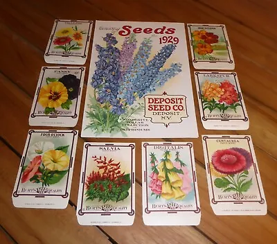 8 Vintage Seed Packet Flowers C1910 Dalton New York Garden Fancy Cover Deposit • $39.95