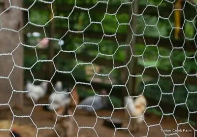 £10.99 • Buy DIY Galvanised Wired Mesh Garden Fencing Chicken Coop Rabbit Run Plant Climbing