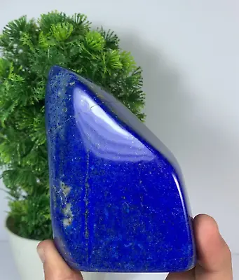 614Gram Lapis Lazuli Freeform Rough AAA+ Tumbled Rough Polished From Afghanistan • $74.99