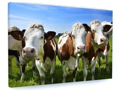 Cows Farm Animals Canvas Picture Print Wall Art  • £22.99