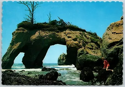 Elephant Rock Pacific Ocean Washington - Postcard • $4.98