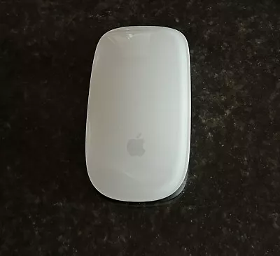 Apple Magic Mouse - White Multi-Touch Surface • $40