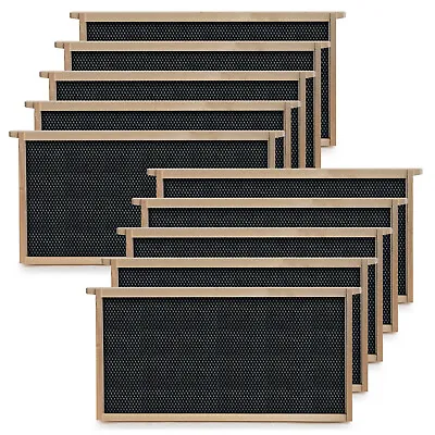 Beehive 10 Frame Add-On Deep Replacement Frames Langstroth Beekeeping • $23.95