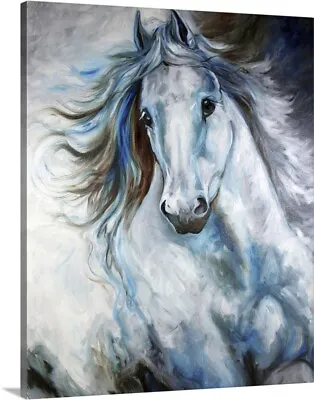 White Thunder Arabian Equine Abstract Canvas Wall Art Print Horse Home Decor • $49.99