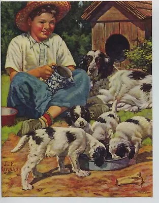 Vintage 1940's Era Print J.F. Kernan Boy Feeding Springer Spaniel Momma & Pups • $24.99