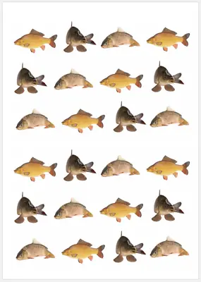 24 X Fishing Carp Fish Cupcake Toppers Edible Wafer Paper Fairy Cake Toppers • £2.70