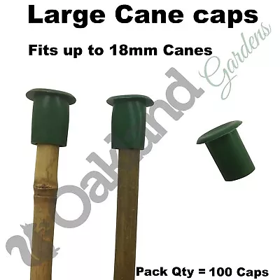 Large Garden Cane Caps Rubber Protectors Topper Eye Protection Bamboo Qty = 100 • £14.95