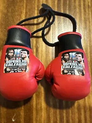 Hopkins Vs Calzaghe Mini Boxing Gloves • $18.99