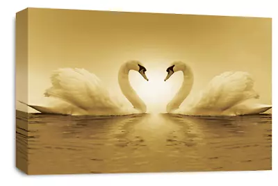 Love Art Print White Cream Brown Kissing Heart Swans Framed Canvas Picture Large • £29.99