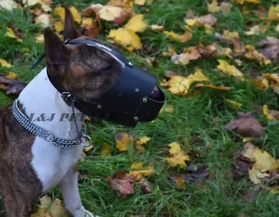 £8.29 • Buy DOG CHOKER CHOKE CHAIN COLLAR METAL SEMI CHOKE 2 & 3 Rows All Sizes Dog Control 