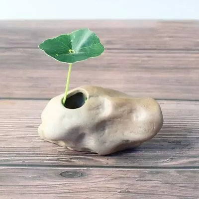 Mini Zen Hydroponic Plant Pots Creative Home Desktop Ornaments • $15.18