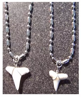 2 REAL SHARK TOOTH ON 24  BALL CHAIN STAINLESS STEEL NECKLACE Teeth Mens Womens • $14.36