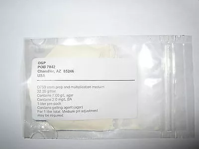 Orchid Flask Medium O753 Stem Props And Multiplication • £3.55