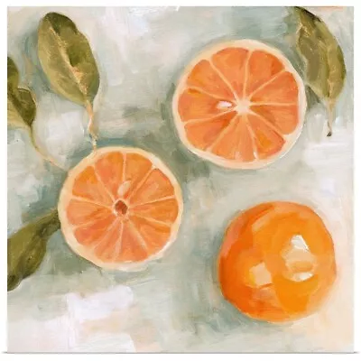 Fresh Citrus II Poster Art Print Fruit Home Decor • $29.99