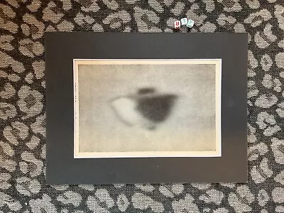 UFO Flying Saucer Ufology Illustration Photo Print  Vintage Mounted • $27.38