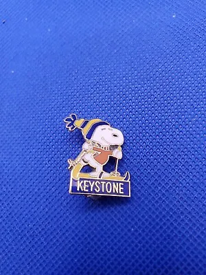 Vintage Peanuts Snoopy Skiing Keystone Resort Colorado Enamel Lapel Pin Aviva • $17.93