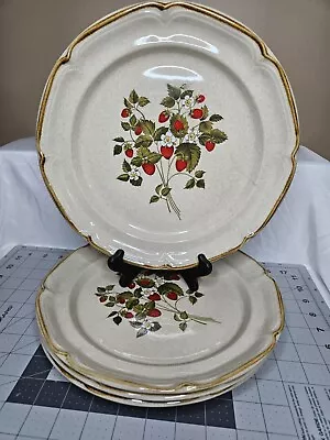 Vintage Sunmarc LA FRAISE Endura Collection Strawberry Dinner Plates Set Of 4 #2 • $22.49
