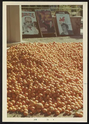 FOUND PHOTO Pumpkins & French Movie Posters Odd Unusual Strange Snapshot VTG • $5.99