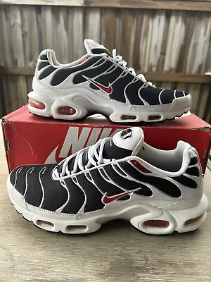 Nike Air Max Plus TN “2Face” • $600