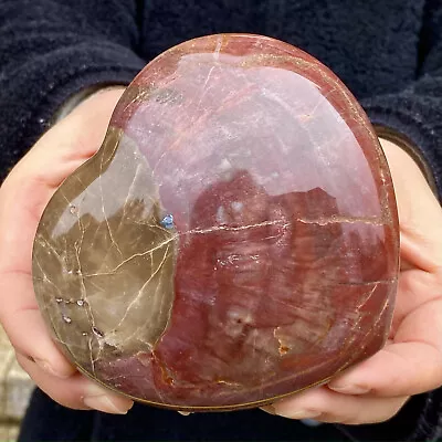 1.34LB Crystal Petrified Wood Heart Carving • $0.99