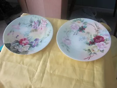  2 Limoges Hand Painted Plates Roses & Morning Glory  8.5  • $29.95