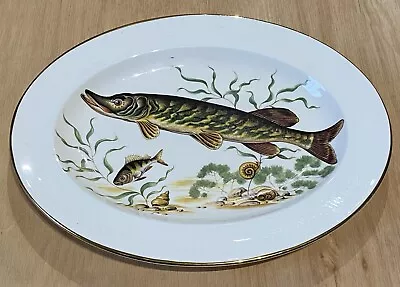 Pall Mall Ware English Bone China Pike Fish Oval Plate Vintage • £15