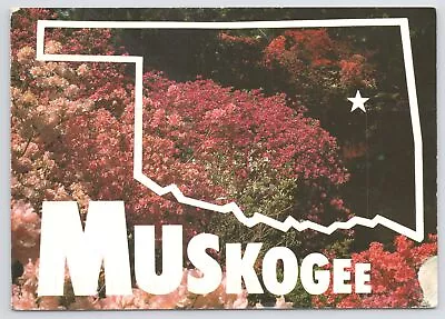 State View~Muskogee OK~Azalea Gardens In Shades Of Pink~Continental Postcard • $1.35