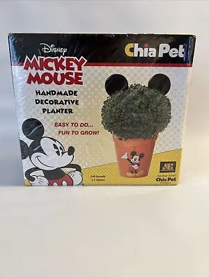 Disney Chia Pet Mickey Mouse Decorative Pottery Planter - 2014 Brand New Sealed • $24.99