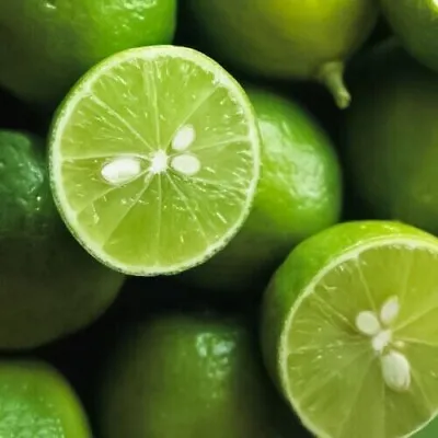 Fresh Citrus Aurantifolia Seeds Natural-Lime 50 Seeds Ceylon Organic 100% New • £9.72