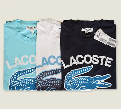 Lacoste 100% Cotton Regular Fit Tshirt Size M-XL • $49.99