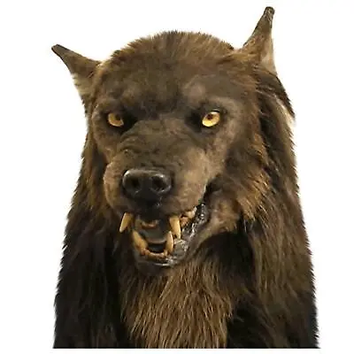£38 • Buy Halloween Wolf Mask Faux Werewolf Mask Wolfman Latex Masks Costume Prop Novelty