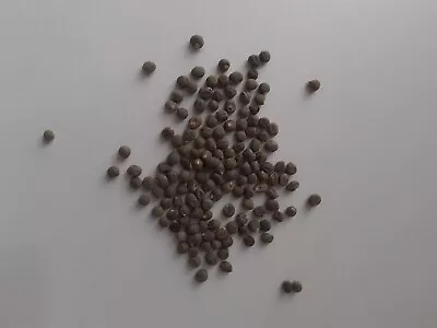 Okra Seeds 20 Clemson Spineless • £2.20