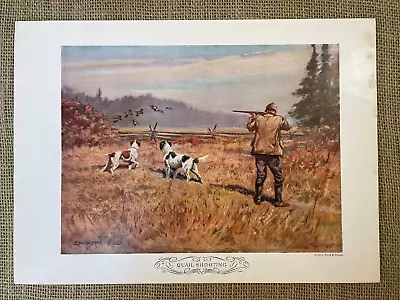 Five Vintage Field & Stream Edwin Megargee Prints 1934 Duck Pheasant Snipe Quail • $37.95