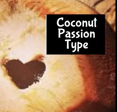 PASSIONATE COCONUT Perfume EDP Lotion Scrub Body Splash Wash Sexy Fragrance Oil • $7.50