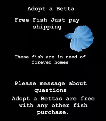 Adopt A Betta Fish Give A Fish It’s Forever Home.. • $18