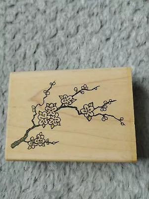 Personal Impressions Cherry Blossom Rubber Stamp (P1406M Lindsay Mason) • £8.99