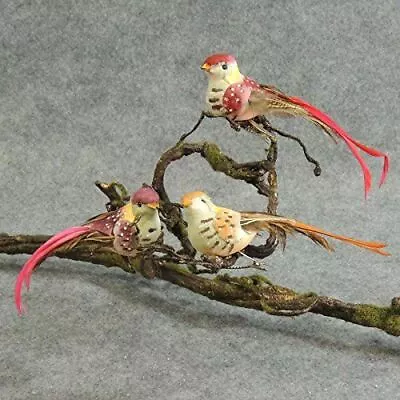 $27.29 • Buy Assorted Color Feathered Tail Artificial Woodland Mushroom Birds