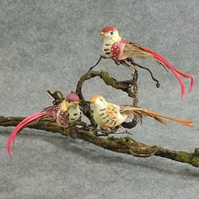 Assorted Color Feathered Tail Artificial Woodland Mushroom Birds • $27.29