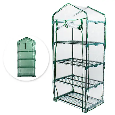 4 Tier Mini Greenhouse Outdoor Plant Growhouse Garden Pvc Pe Cover Green House • £22.95