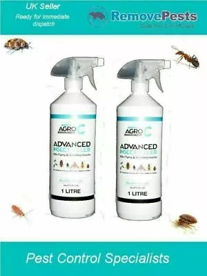 Wasp Killer Poison Spray Expert Pest Control Treatment 2 X 1L RTU • £13.99