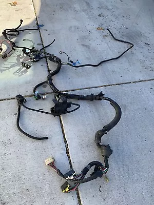 1981-1988 Chevrolet Monte Carlo Engine Wiring Harness 3.8 V6 • $350