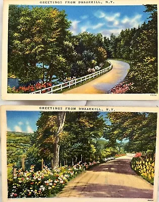 2 Vintage DWAARKILL New York Antique Postcards Color Landscape By Tichnor Boston • $9.99