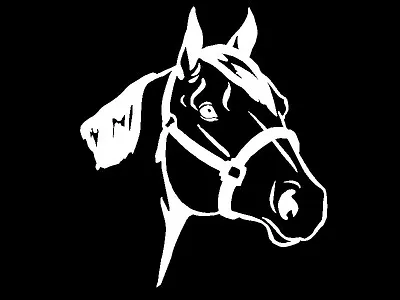 Quarter Horse Head Decal Equestrian Car Window Vinyl Trailer Sticker Graphic • $5.99