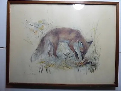 £16.99 • Buy Mads Stage Signed 'fox' Print. Framed. Nice Image. 