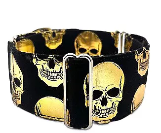 Martingale Dog Collars 2” Wide Adjustable Hound Collar - Sid The Skull • $40