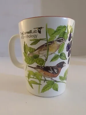 The Cornell Lab Of Ornithology 4 Bird Mug Blackberries Red Inside Coffee Tea • $17